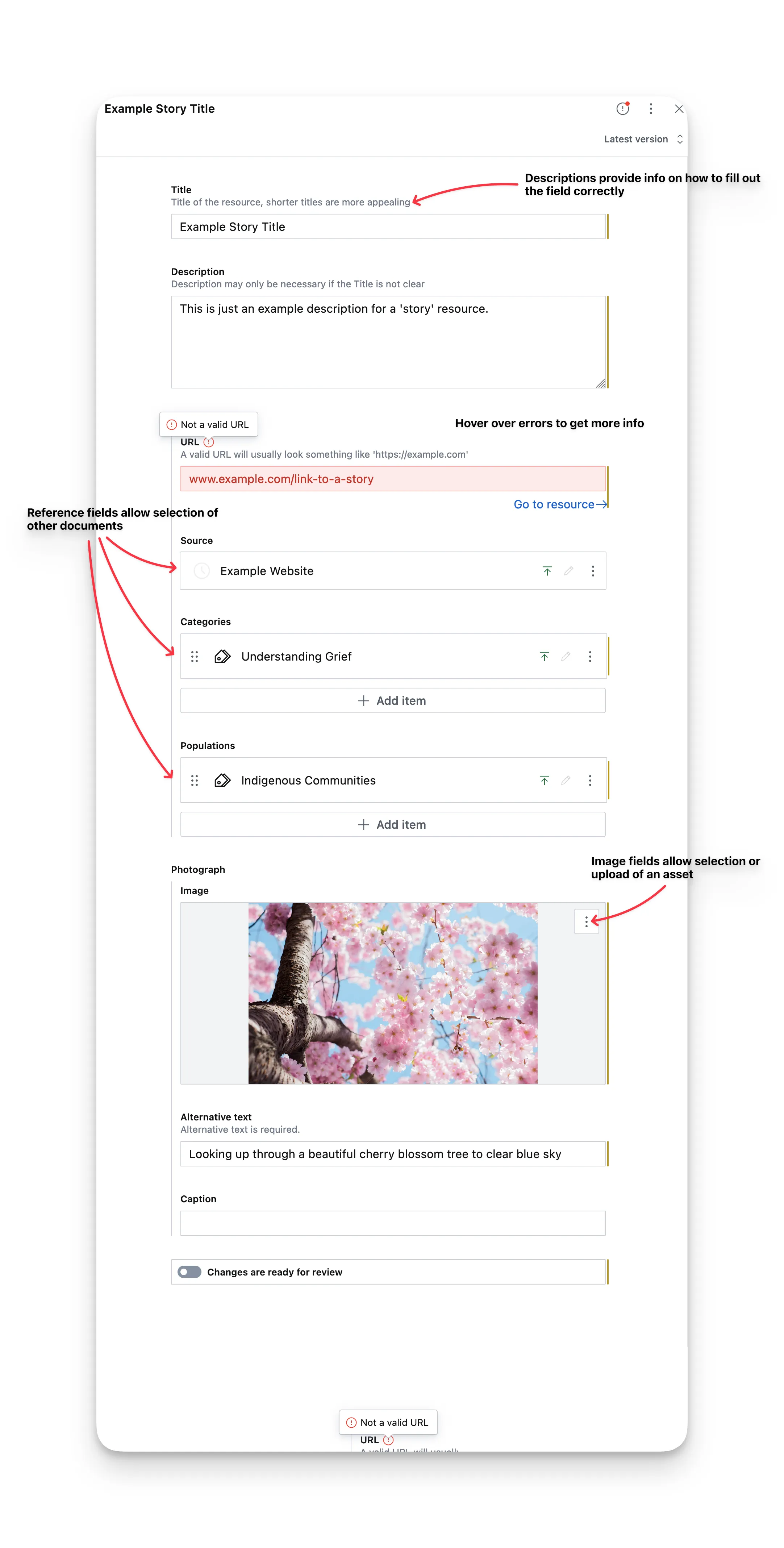 Creating a document in the editor